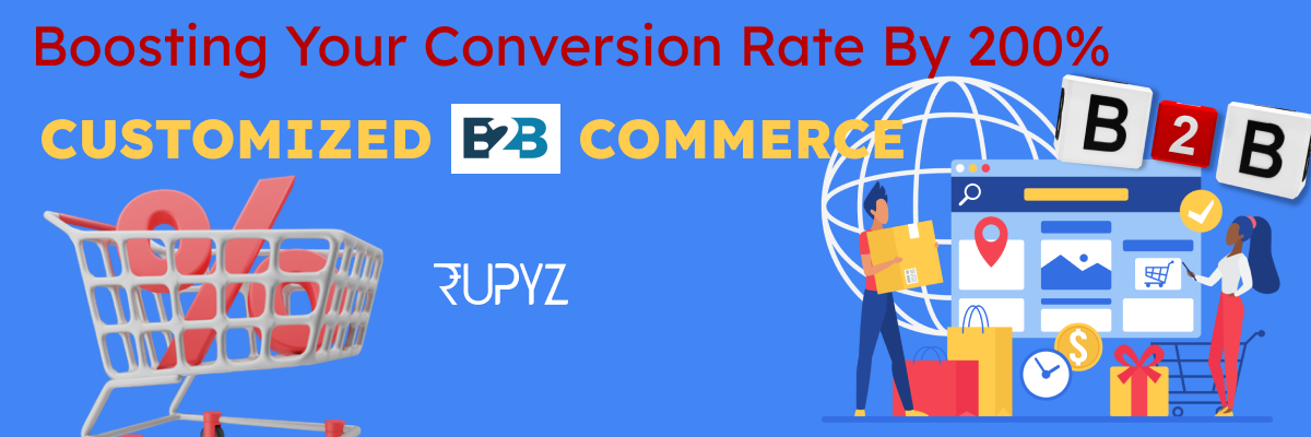 Customized B2B E-commerce Platform